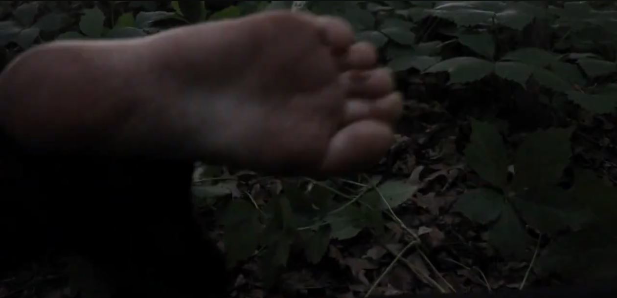Victoria Pedretti Feet